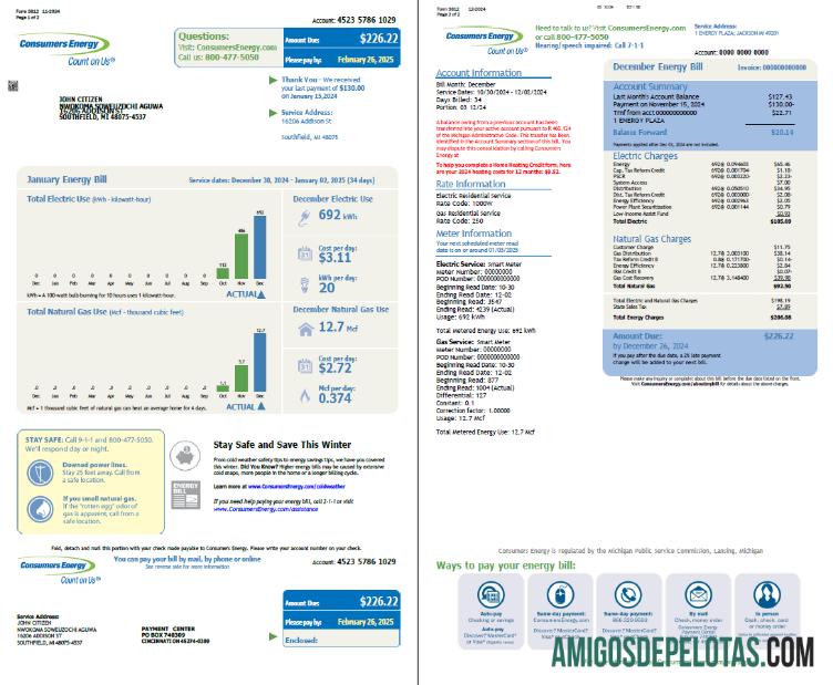 imprimível Modelo de conta de serviços públicos de energia para consumidores dos EUA em formatos Word e PDF, 2 páginas